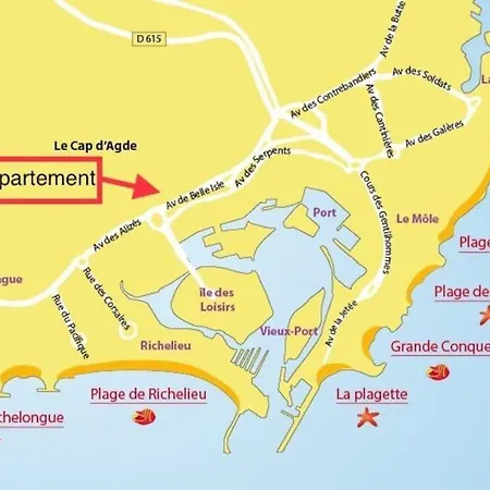 Cap D'agde Le Genois T2 De 36m2 Avec Parking Privatif Et Acces Internet דירה *